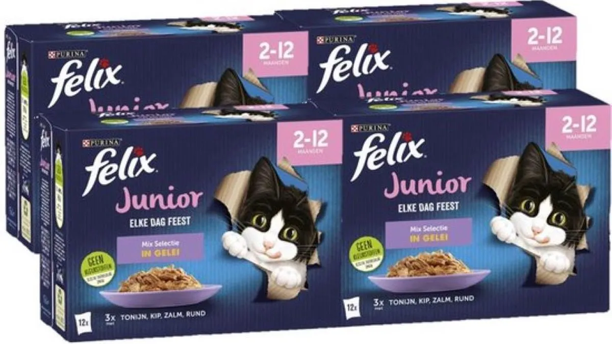 Felix Elke Dag Feest Junior Mix Selectie