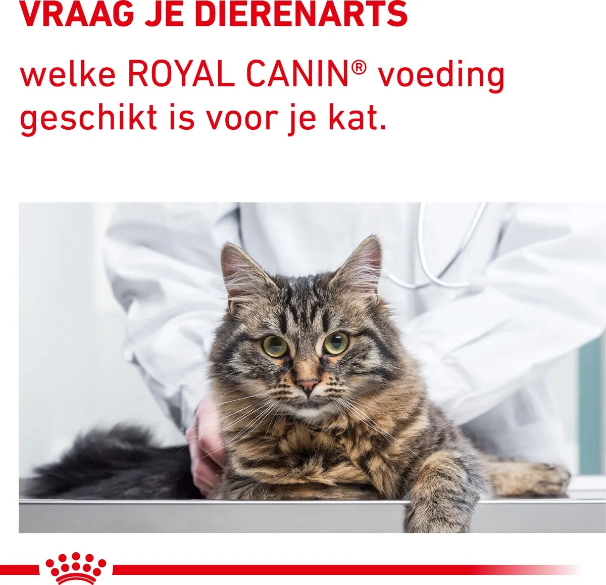 Royal Canin Veterinary Diet Senior Consult Kattenvoer 10kg