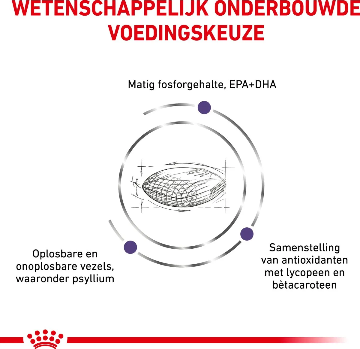Royal Canin Veterinary Diet Senior Consult Kattenvoer 10kg - afbeelding 6 van 6