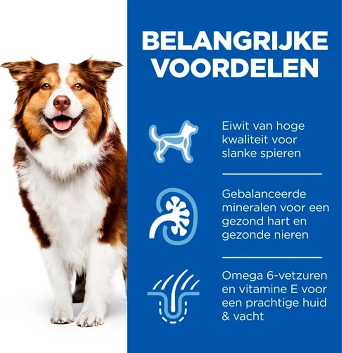 Hill's Science Plan Mature Adult Natvoer Hond - Kip - 12x370g