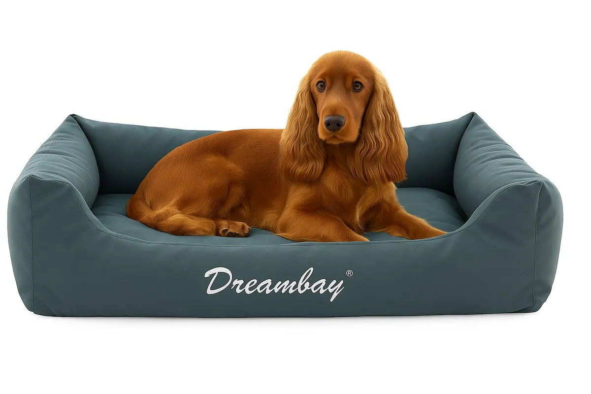 Flamingo Dreambay Orthopedisch Hondenkussen 80x67cm