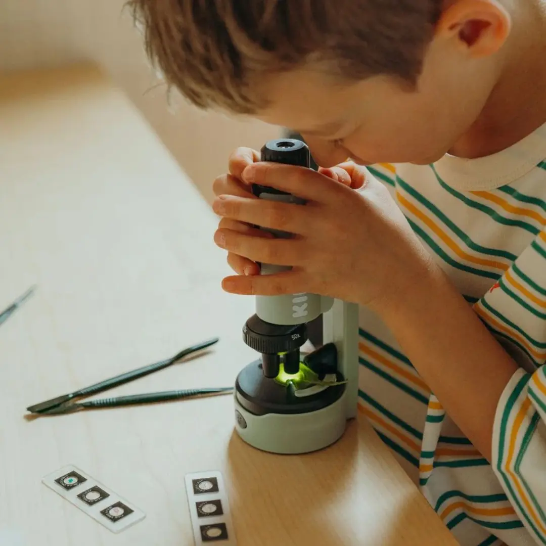 Kidywolf KIDYMICROSCOPE Kindermicroscoop - 50x/150x/300x - Groen - afbeelding 5 van 6