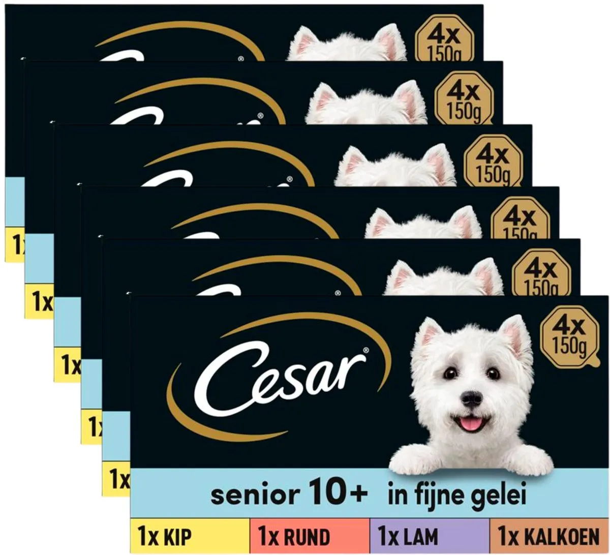 César Senior 10+ Hondenvoer Mix in Gelei