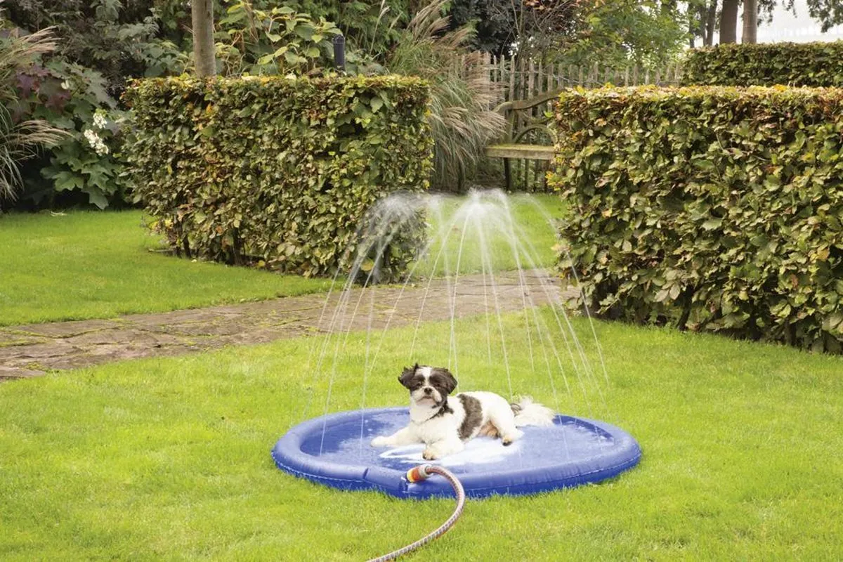 Beeztees Sprinkler Mat Stay Cool Hondenmat - 100x100x5cm - Blauw