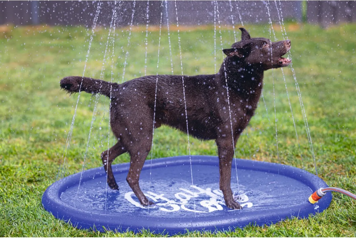 Beeztees Sprinkler Mat Stay Cool Hondenmat - 100x100x5cm - Blauw