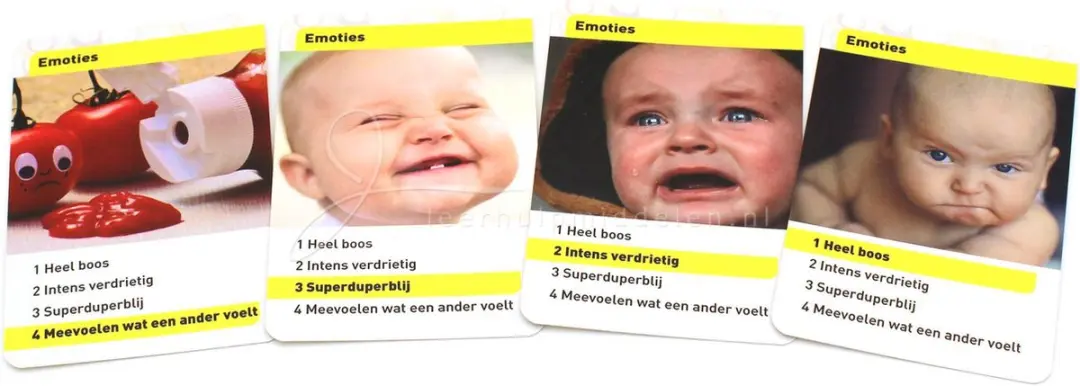 Vier je prikkels! Kwartet over overexcitabilities