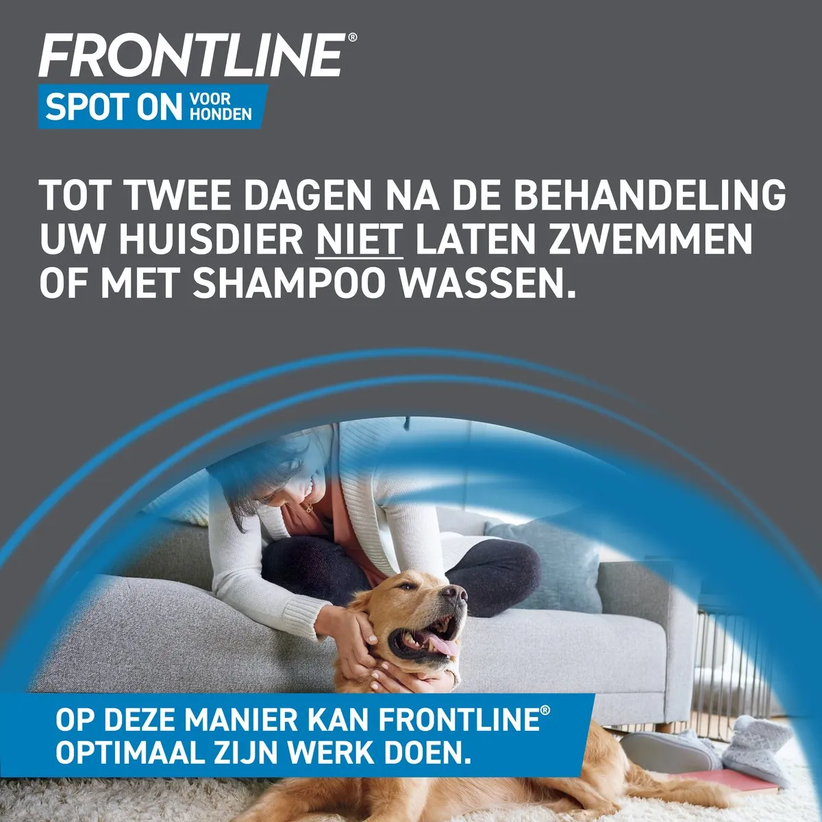 Frontline Spot On hond S (2-10 kg) - 2 x 6 pipetten - Vlooiendruppels Hond