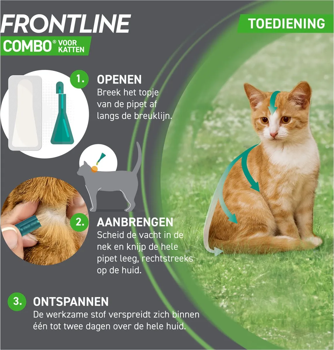 Frontline Combo Spot On Kat Anti-Vlooien/Teken 6 Pip
