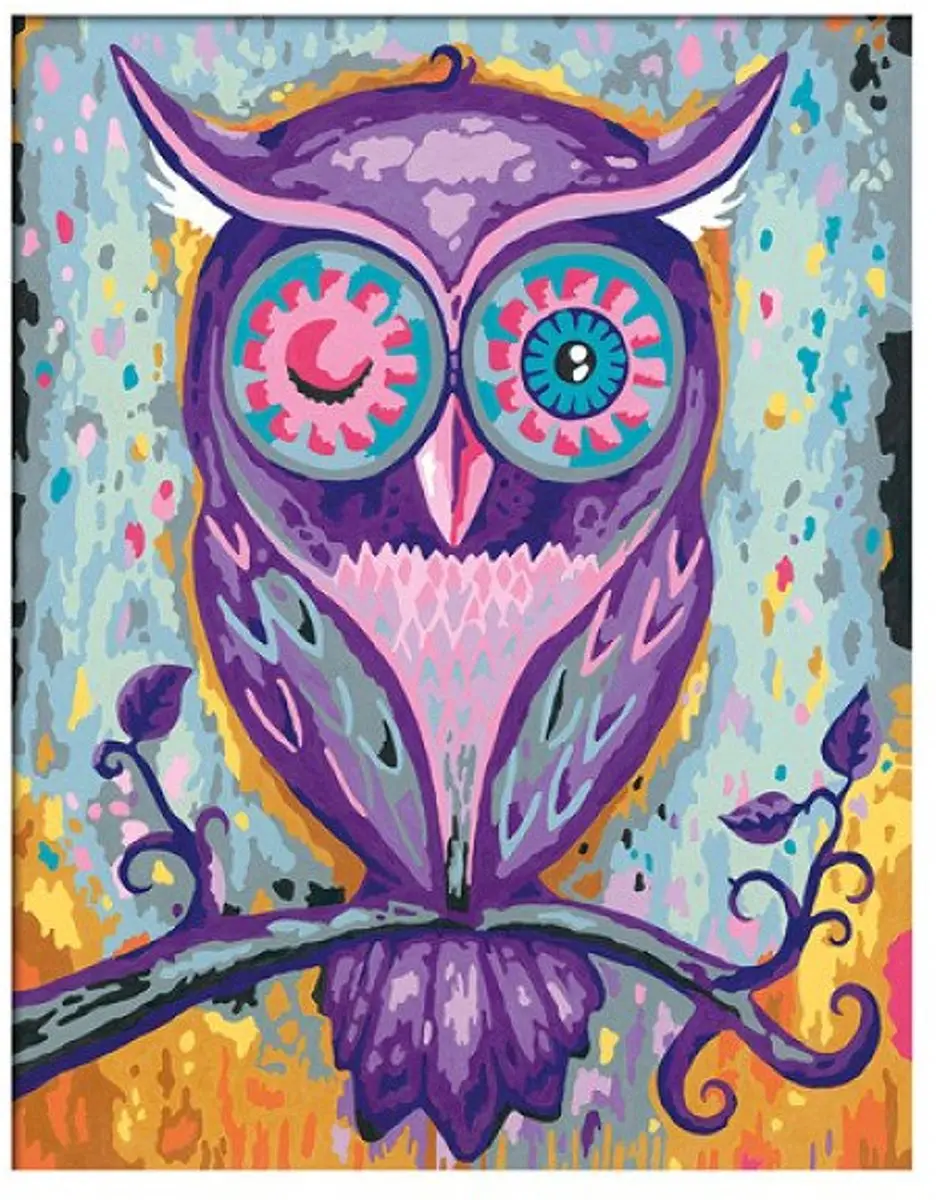 Ravensburger CreArt Dreaming Owl - Schilderen op nummer - afbeelding 6 van 6