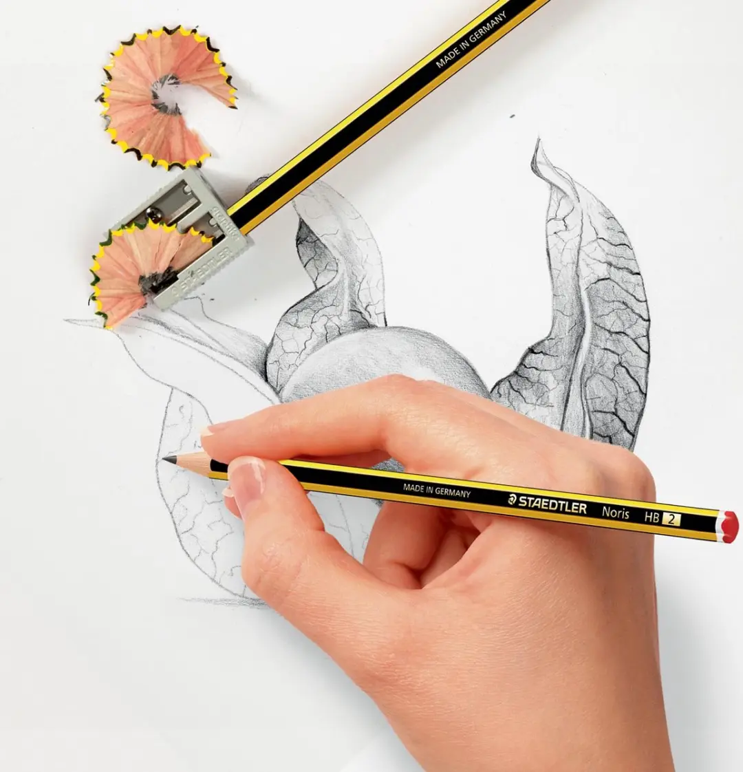 Staedtler Noris Potlood 2B 120-0 - Doos à 12 stuks - afbeelding 2 van 6