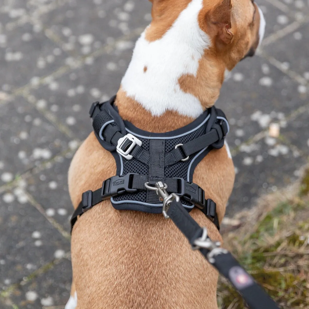 Trixie Premium Flexmesh Hondentuig - Zwart M