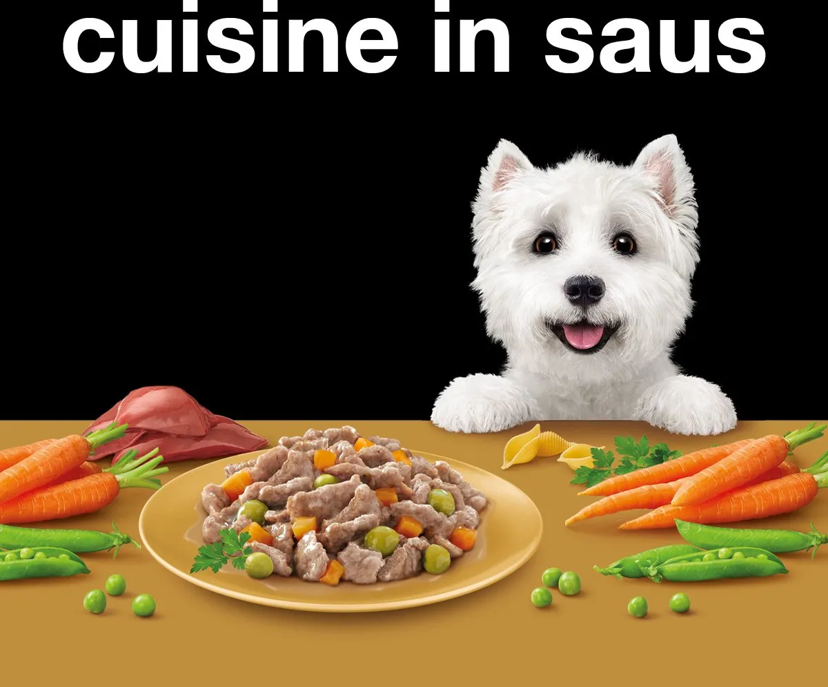 Cesar Hondenvoer - Cuisine Mix in Saus - Maaltijdkuipjes 24x150g