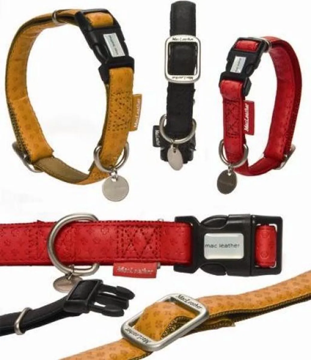 Beeztees Mac Leather Halsband Hond