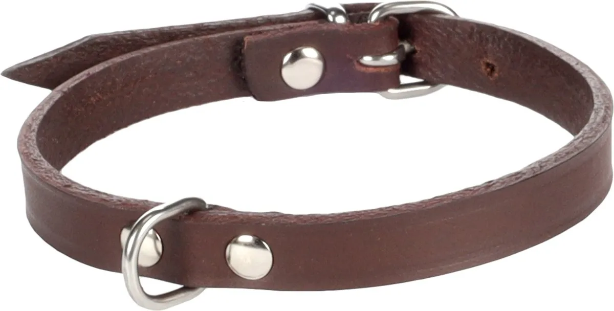 Flamingo Seattle Halsband Honden XS 23-26cm - Bruin