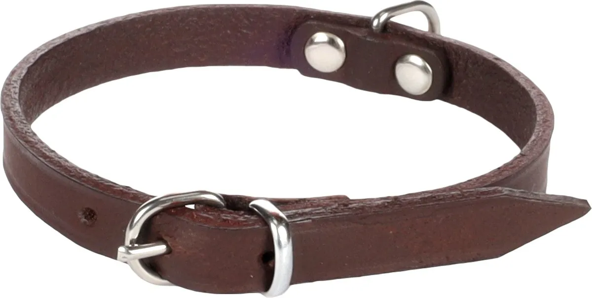 Flamingo Seattle Halsband Honden XS 23-26cm - Bruin
