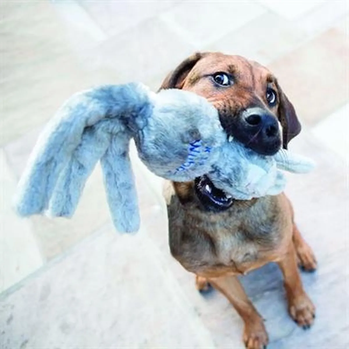 KONG Wubba Friend M - Bruin