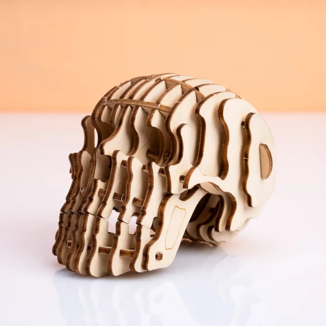 Kikkerland 3D Puzzel Van Hout
