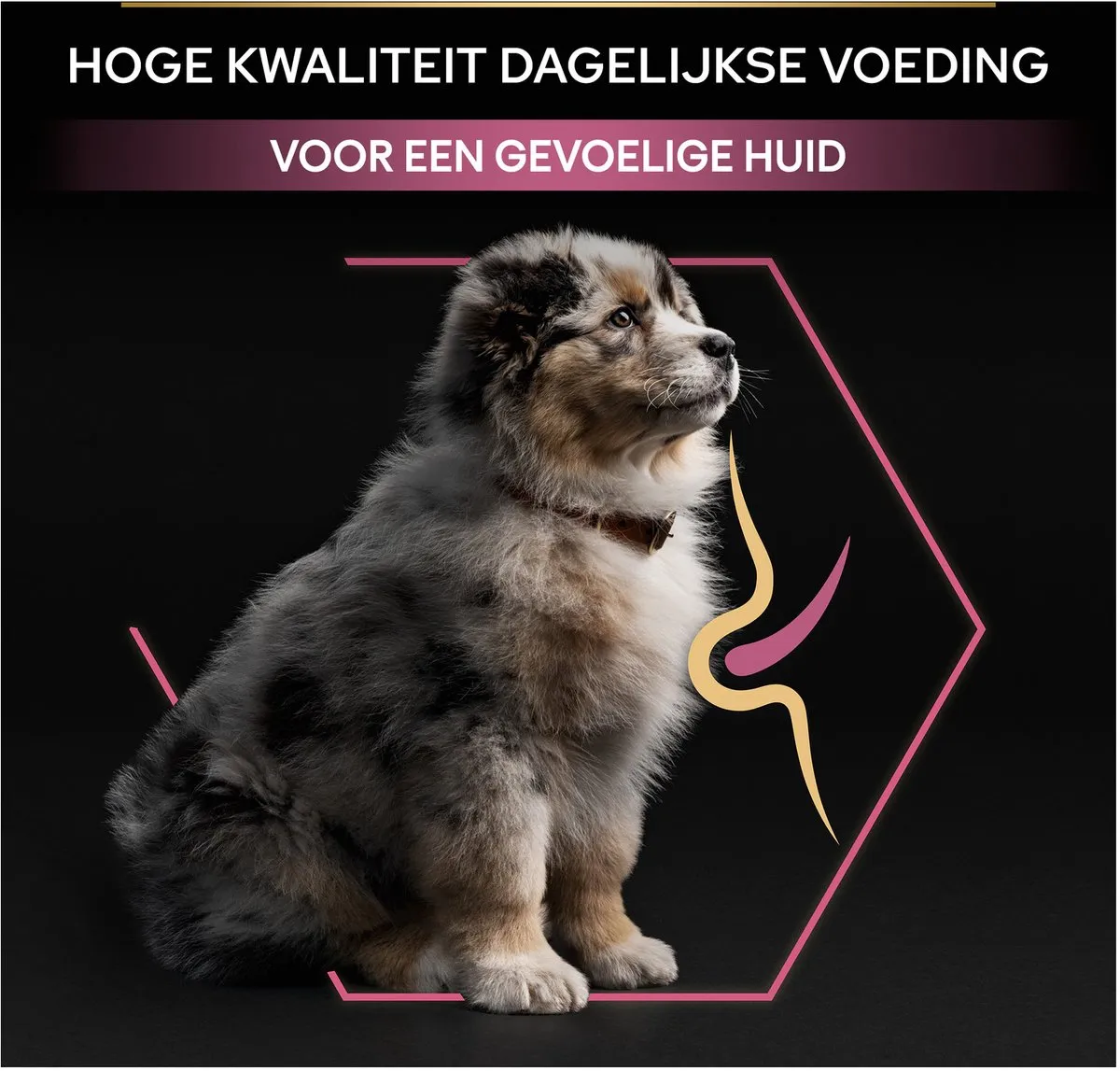 Pro Plan Sensitive Skin Medium Puppy Zalm 12kg