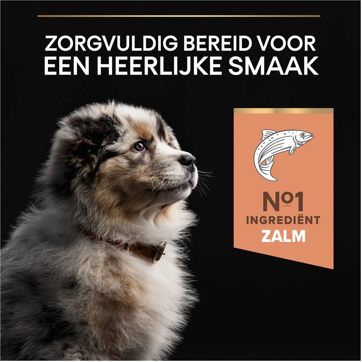 Pro Plan Sensitive Skin Medium Puppy Zalm 12kg