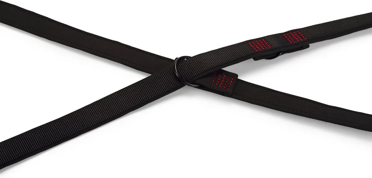 Beeztees Parinca Premium Hondenriem - 200cm x 25mm
