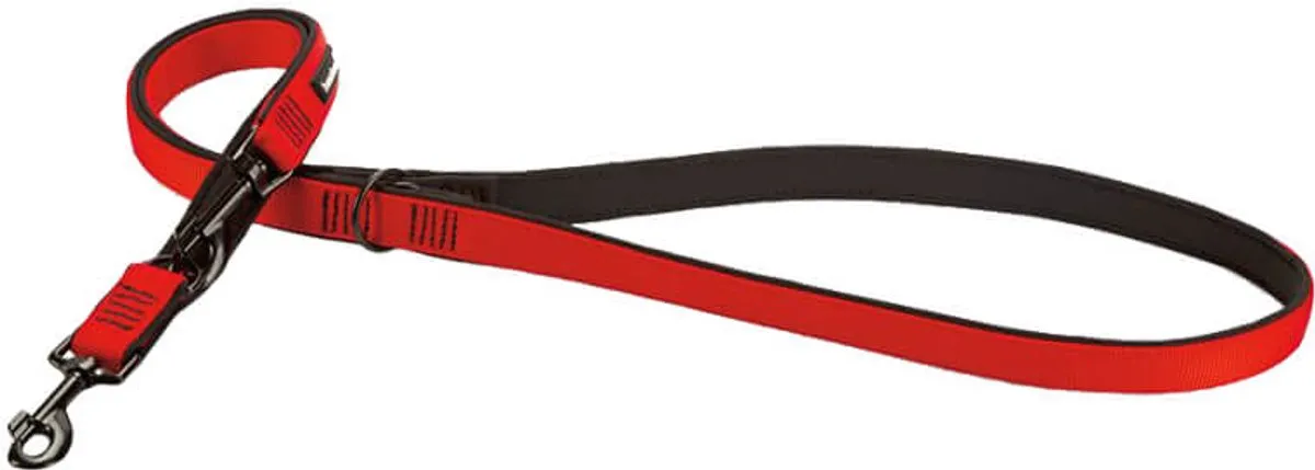 Beeztees Parinca Premium Hondenriem - 200cm x 25mm