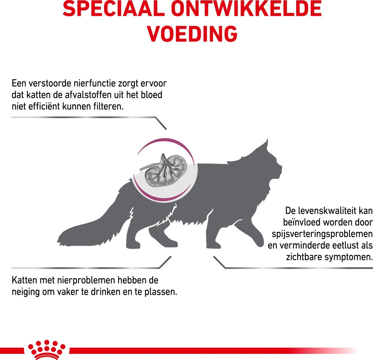 Royal Canin Veterinary Diet Kat Renal Special - 400g