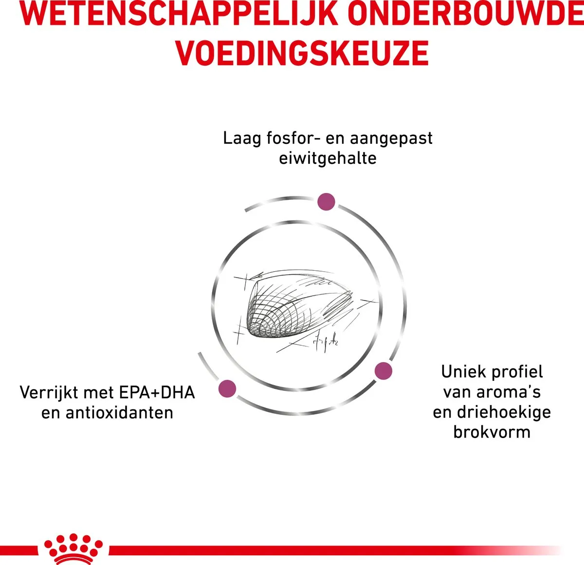Royal Canin Veterinary Diet Kat Renal Special - 400g