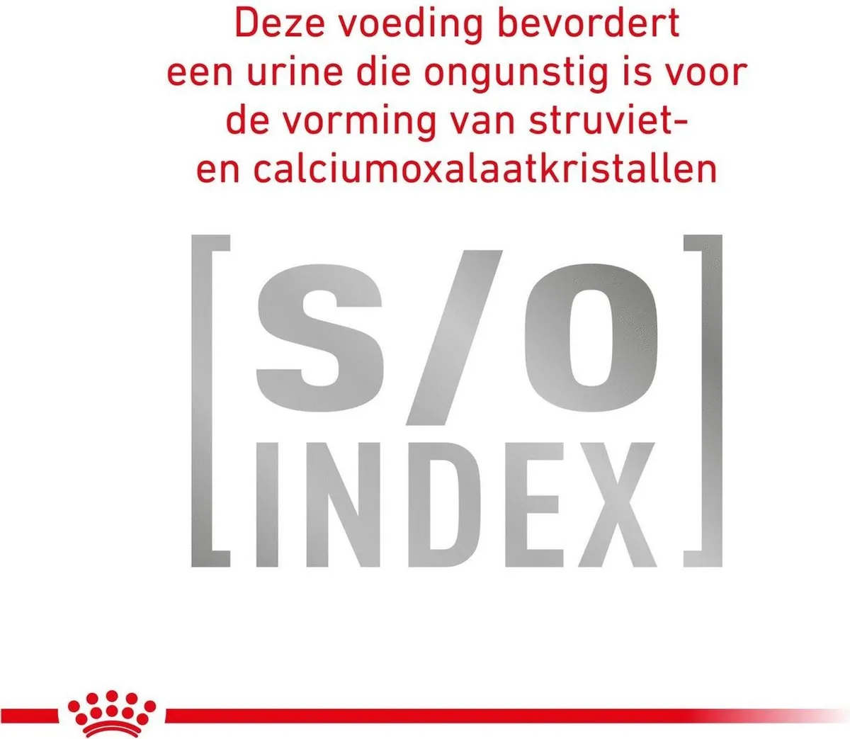 Royal Canin Gastro Intestinal Kattenvoer - 12x100g