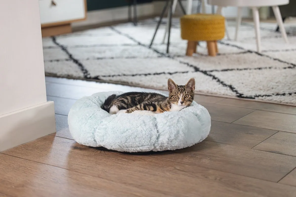 Beeztees Kitten Ligmand Maui - Pluche - Blauw 50x50x15cm