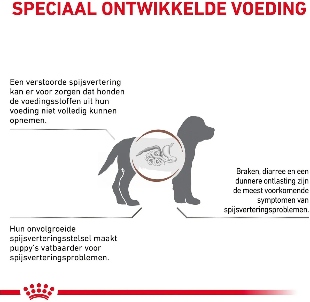 Royal Canin Veterinary Diet Gastro Intestinal Puppy Hondenvoer 2,5 kg