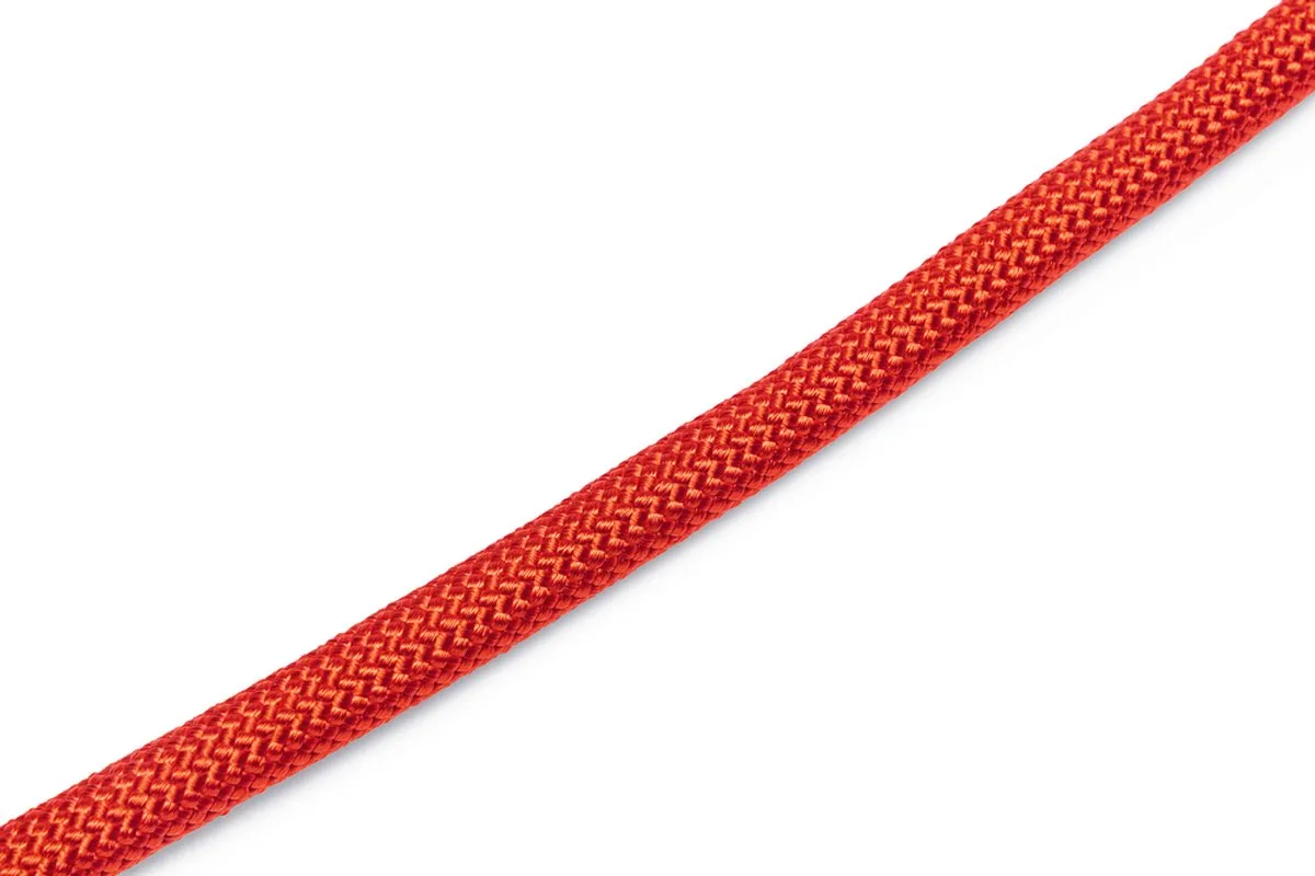 Beeztees Premium Parinca Hondenriem - Rood 180x1,2cm