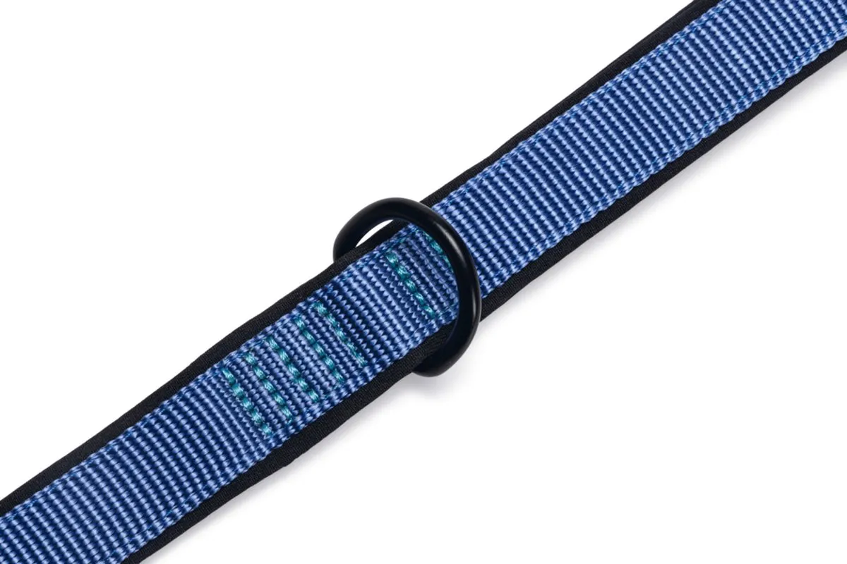 Beeztees Parinca Premium Hondenriem - Blauw 180cm x 20mm