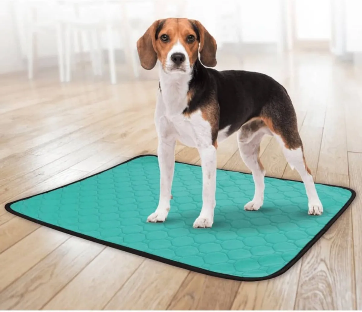 Flamingo Patsy Zindelijkheidspad Wasbaar Anti-slip XL Groen