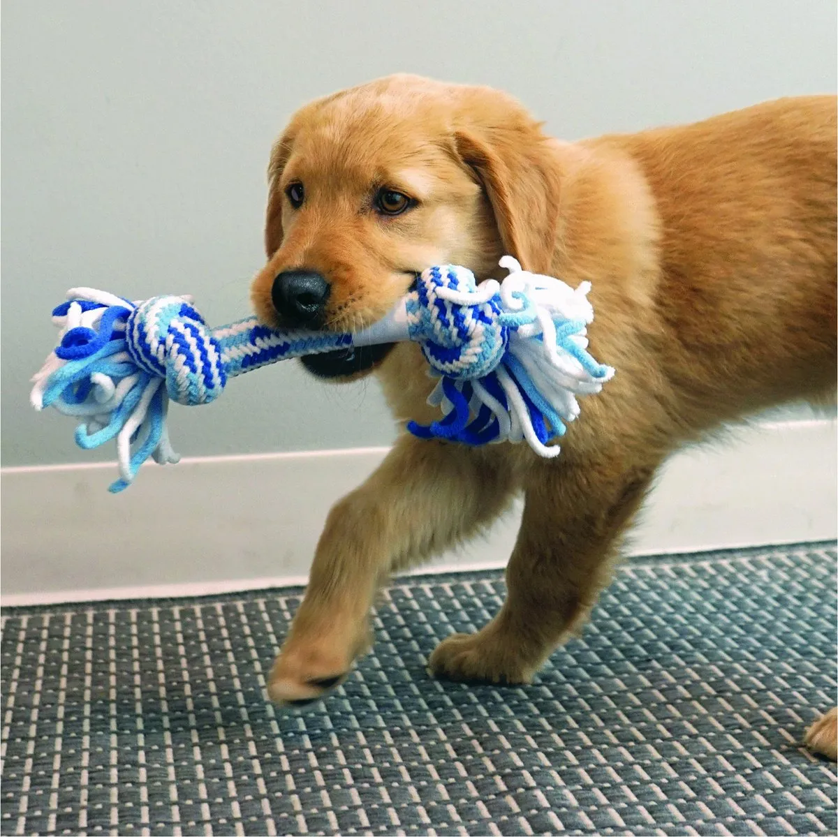 KONG Rope Stick Puppy Hondenspeelgoed 29cm - Blauw