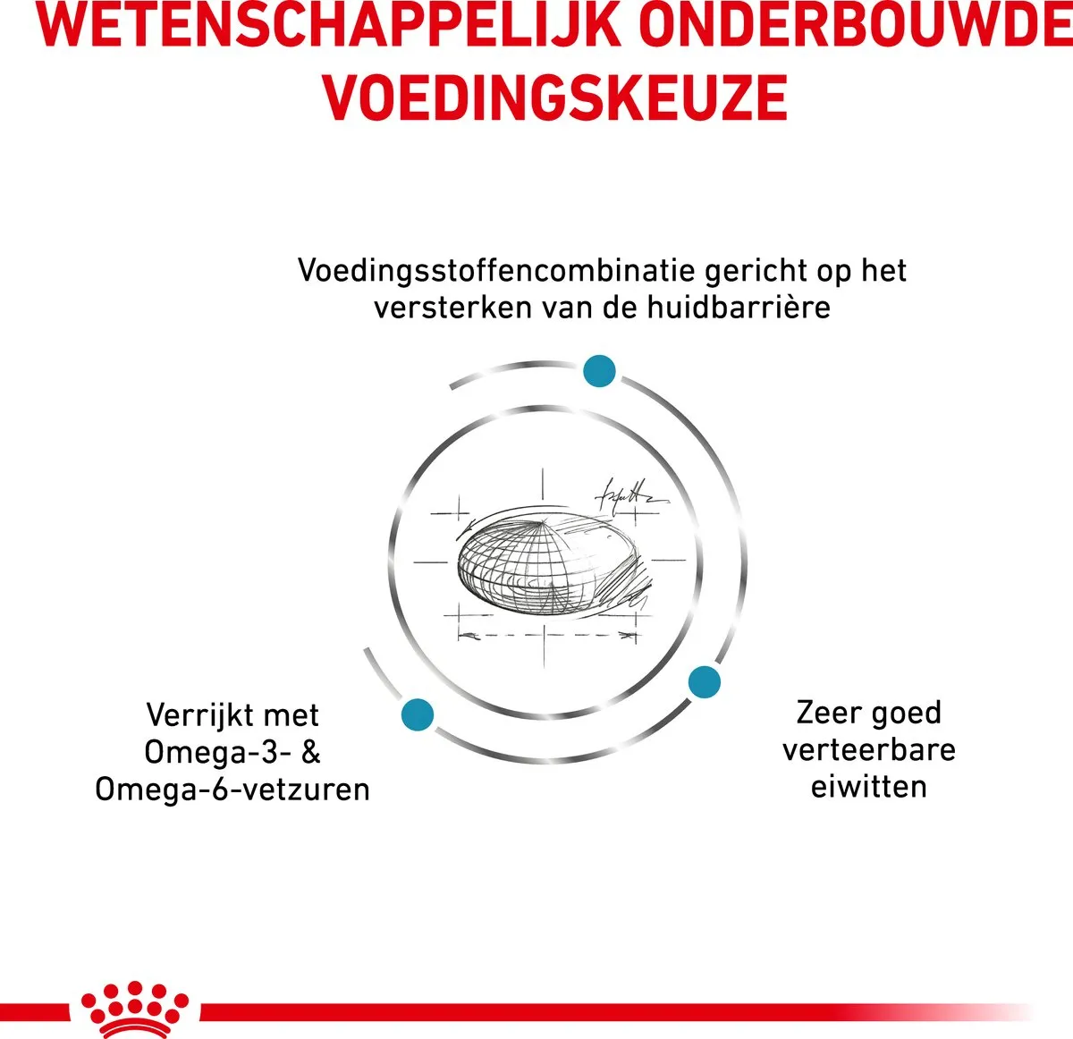 Royal Canin Veterinary Diet Dog Skin Care Adult Hondenvoer 8kg