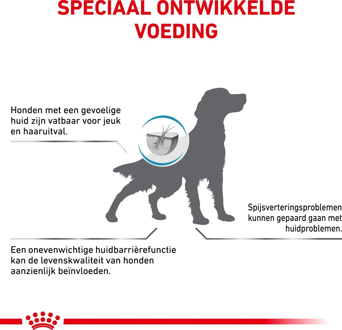 Royal Canin Veterinary Diet Dog Skin Care Adult Hondenvoer 8kg