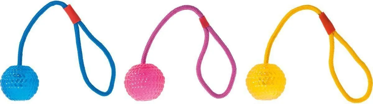 Flamingo Hondenspeelgoed Bal met Koord 7x7x38cm