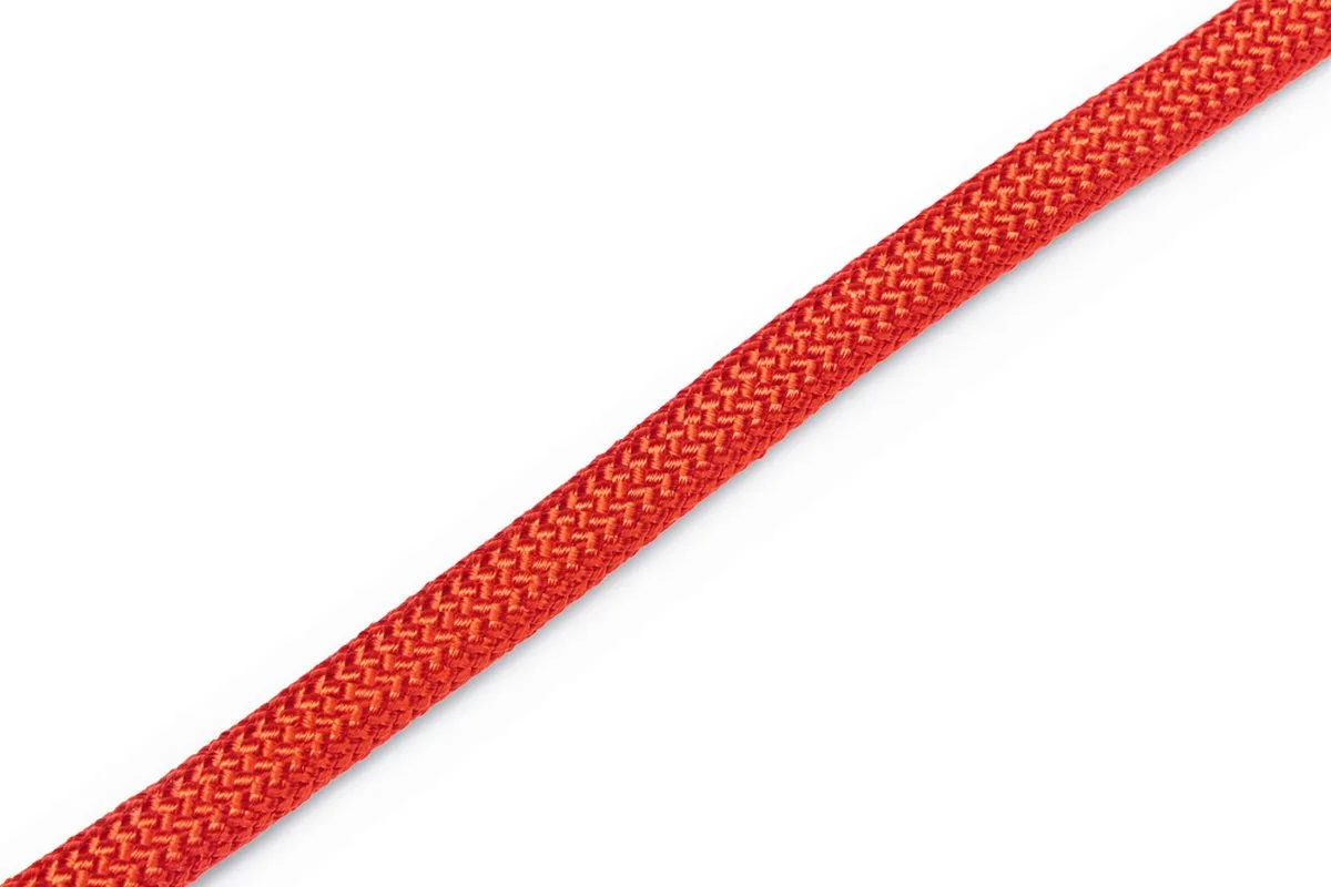 Beeztees Premium Parinca Hondenhalsband - Rood - 55x1,2cm - afbeelding 2 van 5