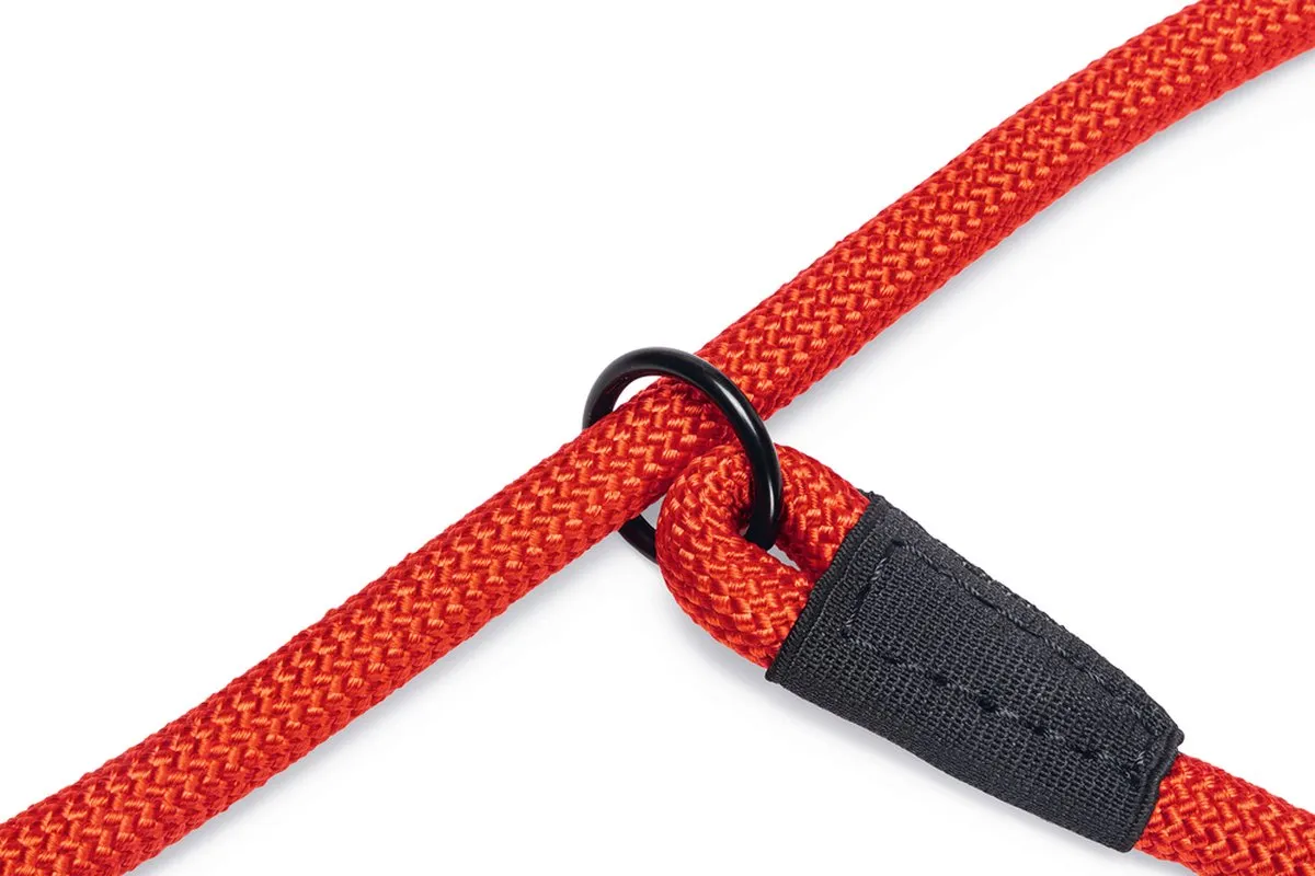 Beeztees Premium Parinca Hondenhalsband - Rood - 55x1,2cm - afbeelding 4 van 5
