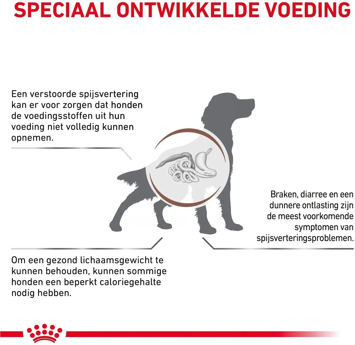 Royal Canin Veterinary Diet Gastro Intestinal Moderate Calorie Hondenvoer 2kg