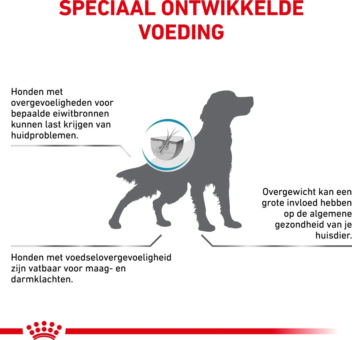 Royal Canin Veterinary Diet Hypoallergeen 7kg - afbeelding 6 van 6