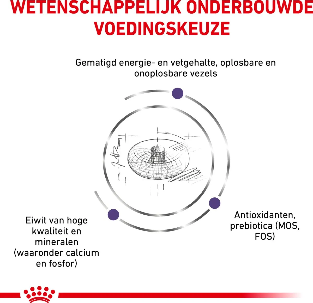 Royal Canin Veterinary Diet Medium Neutered Junior Hondenvoer 10kg