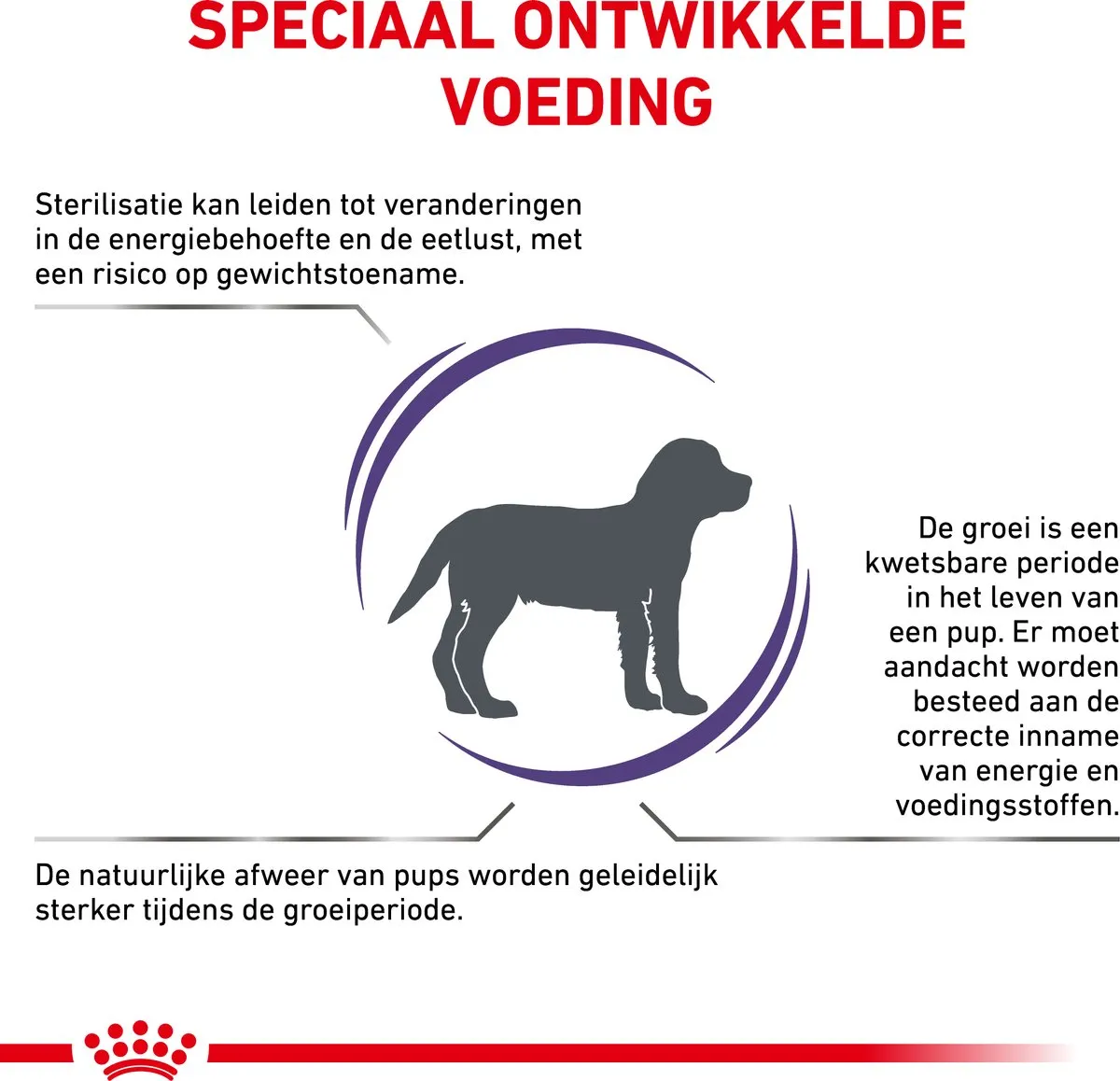 Royal Canin Veterinary Diet Medium Neutered Junior Hondenvoer 10kg - afbeelding 6 van 6