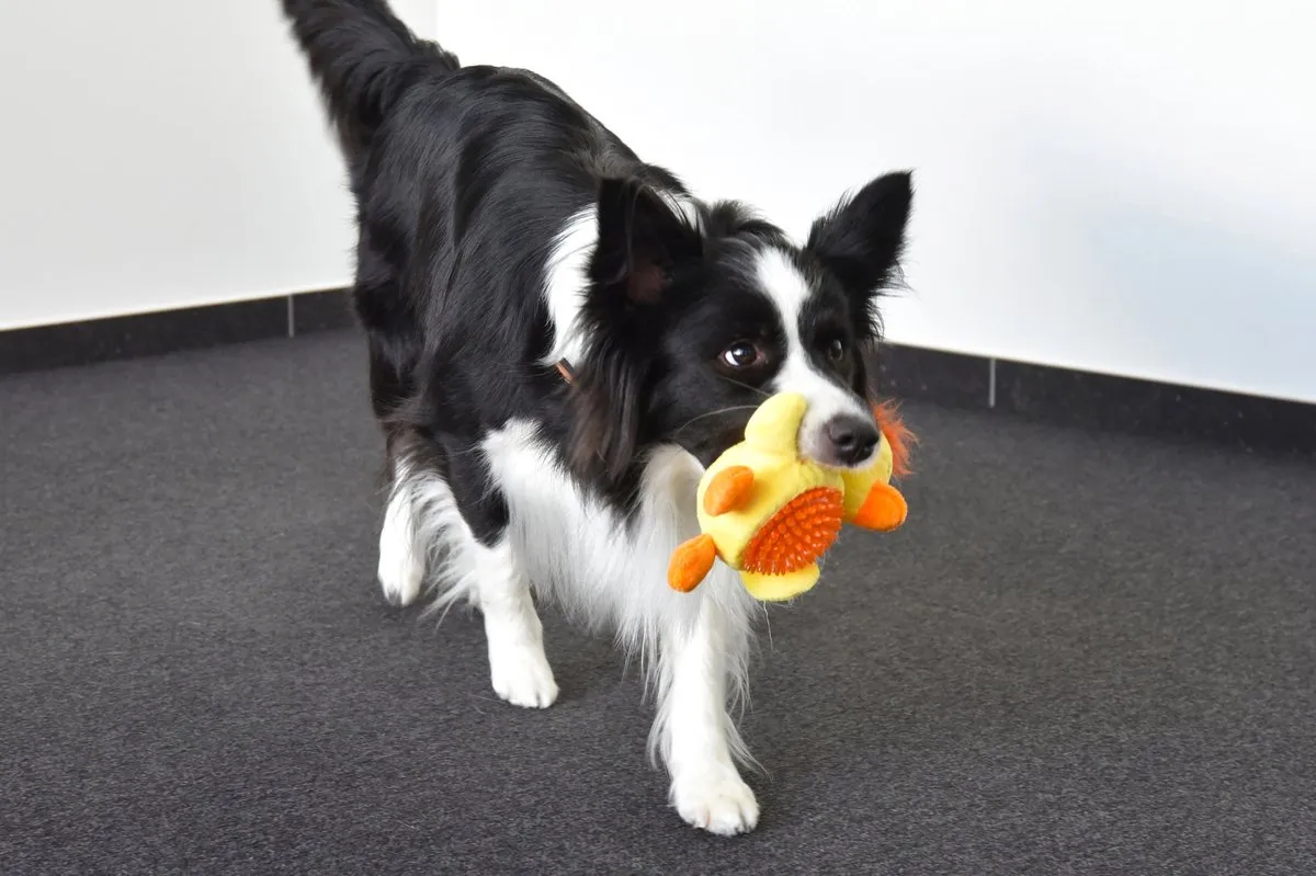 Flamingo Ando Eend Hondenspeelgoed - 16 cm - Geel - afbeelding 2 van 3
