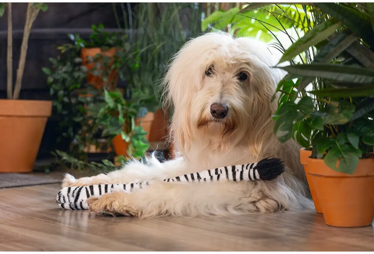 Beeztees Jungle Zebra Staart
