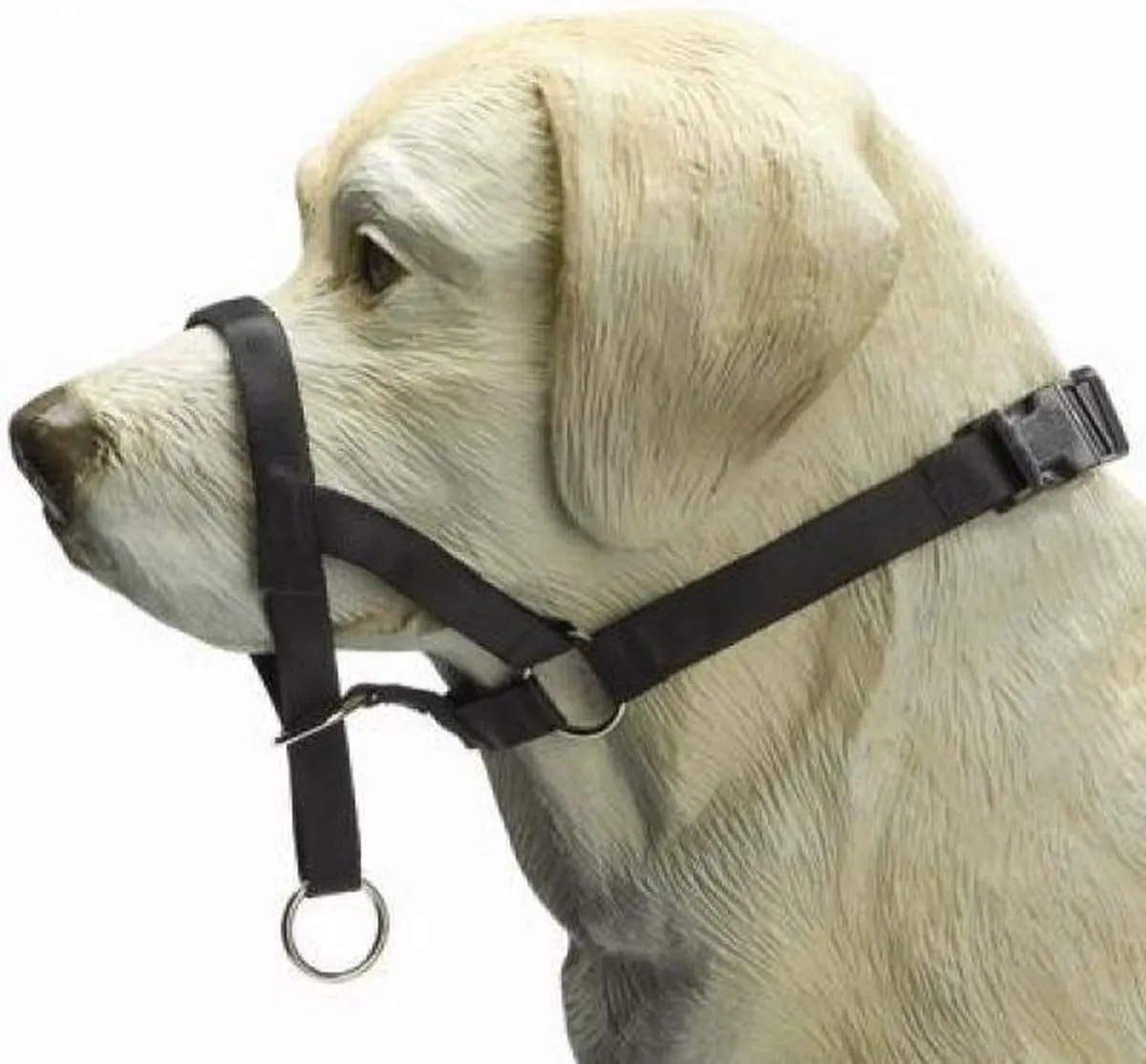 Beeztees Halsband Hond XL