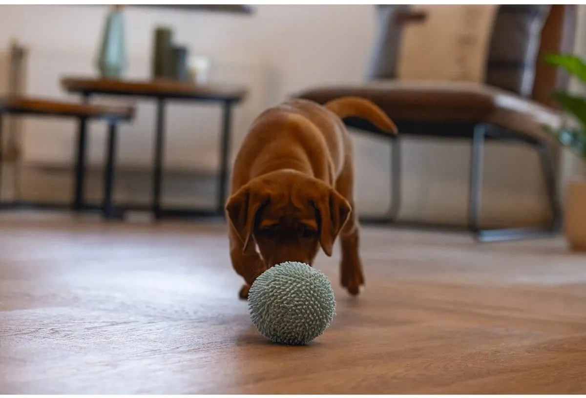 Beeztees Puppy Bal Lily Hondenspeelgoed - Blauw Ø14cm