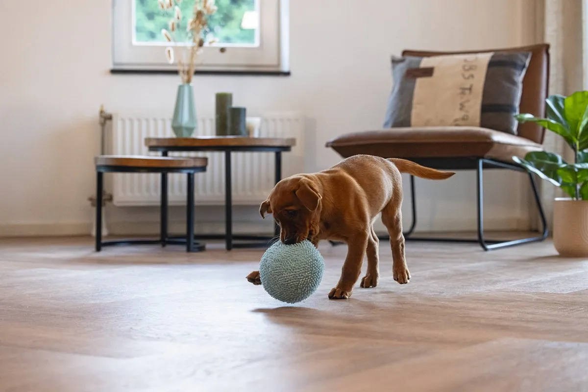 Beeztees Puppy Bal Lily Hondenspeelgoed - Blauw Ø14cm