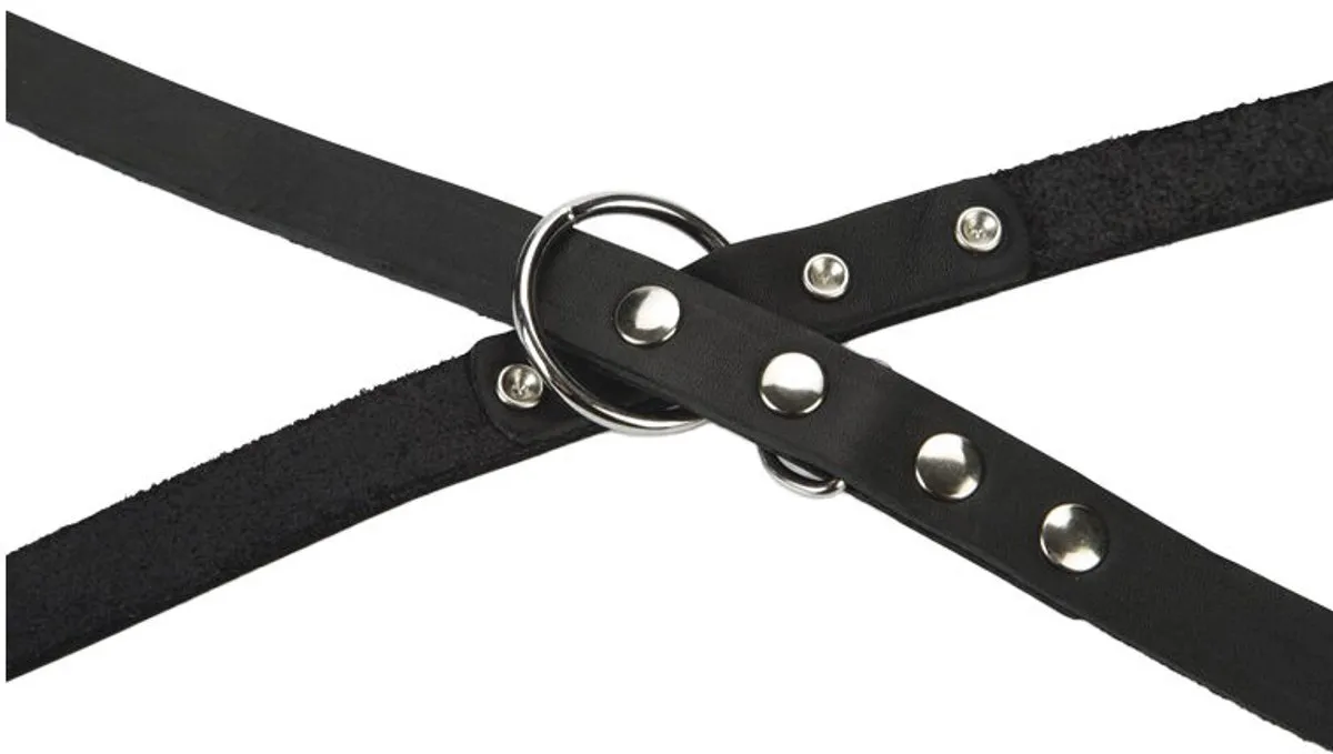 Beeztees Hondenriem Leer M - 200x18cm - Donkerbruin