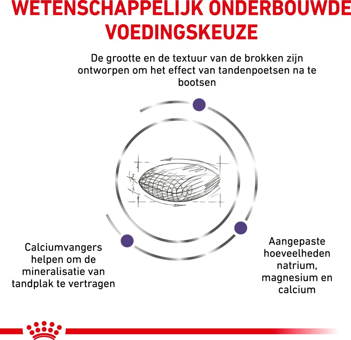Royal Canin Veterinary Diet Dental Special Hondenvoer - <10kg 1.5kg
